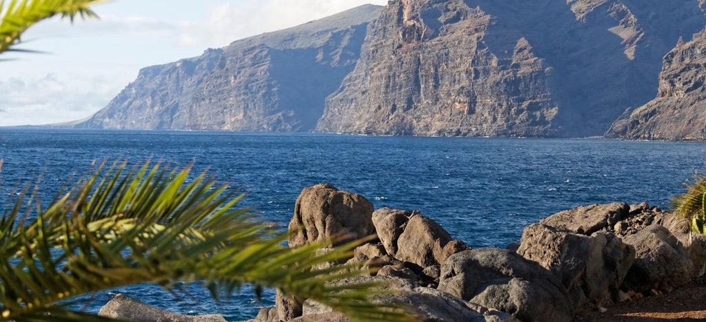 The Wines of Tenerife in Spain's Canary Islands