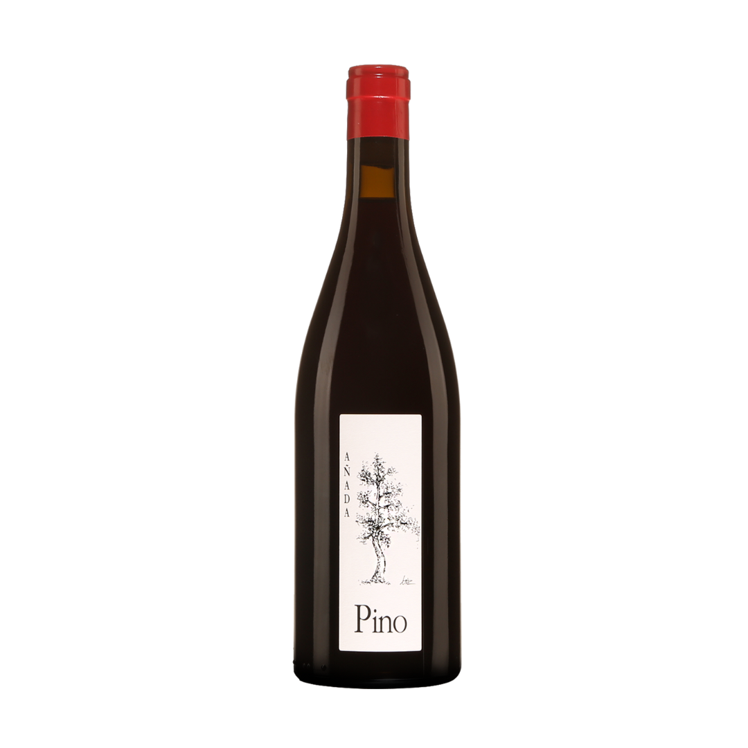 Case of Pino 2021 | $64.00 per bottle