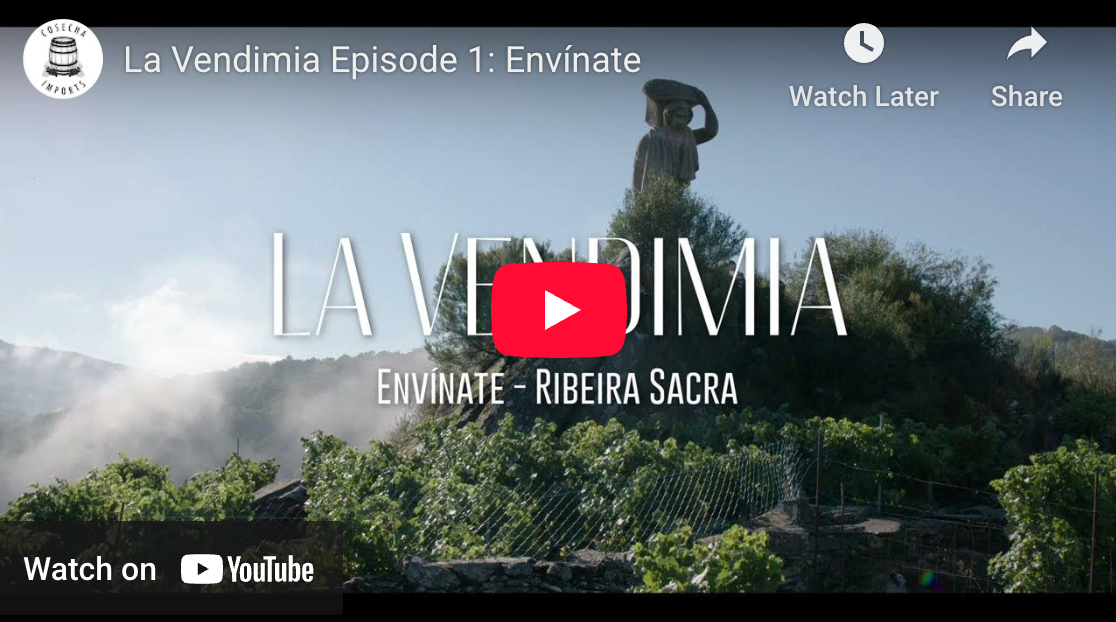 Cosecha Imports Presents: Envínate - Ribeira Sacra