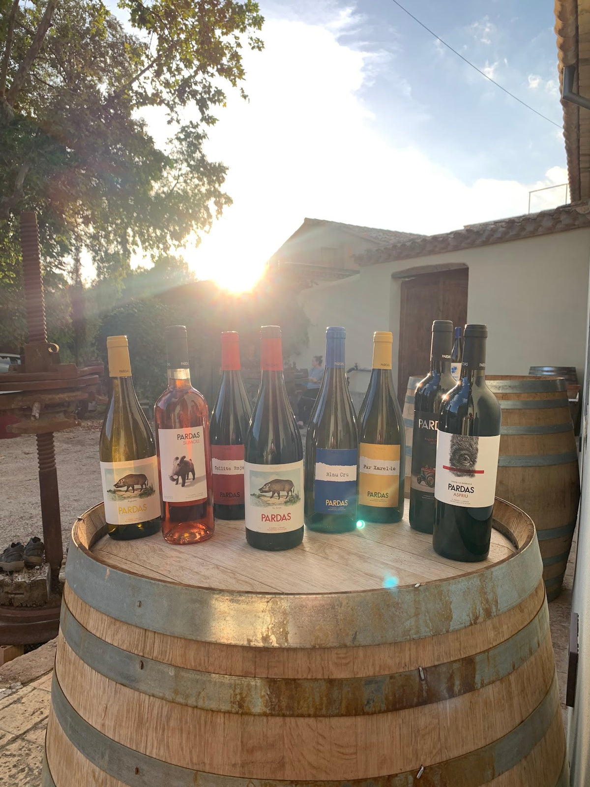Bottles of the Celler Pardas range lined up on a barrel at Can Comas