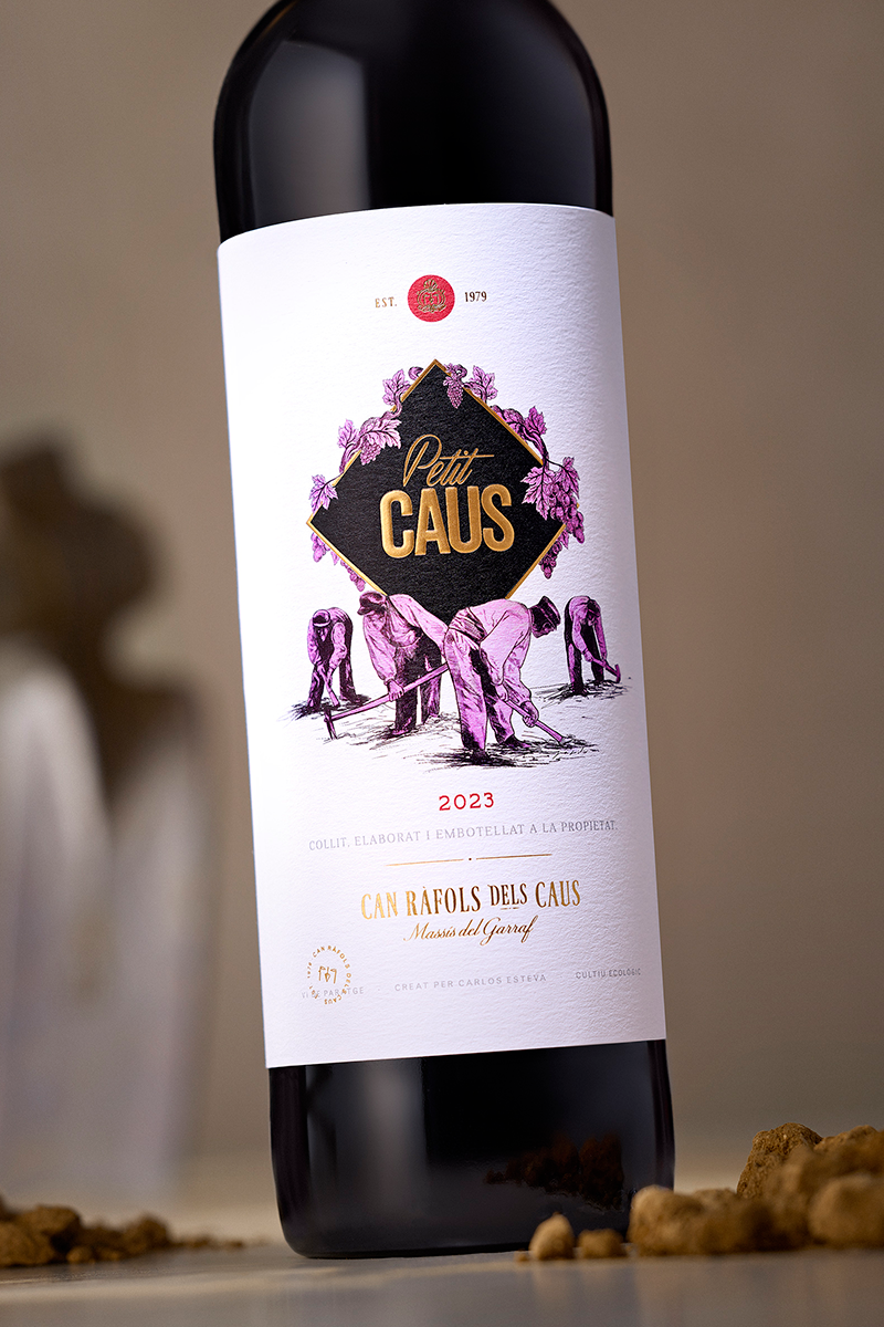 Amazing can rafols dels caus wine