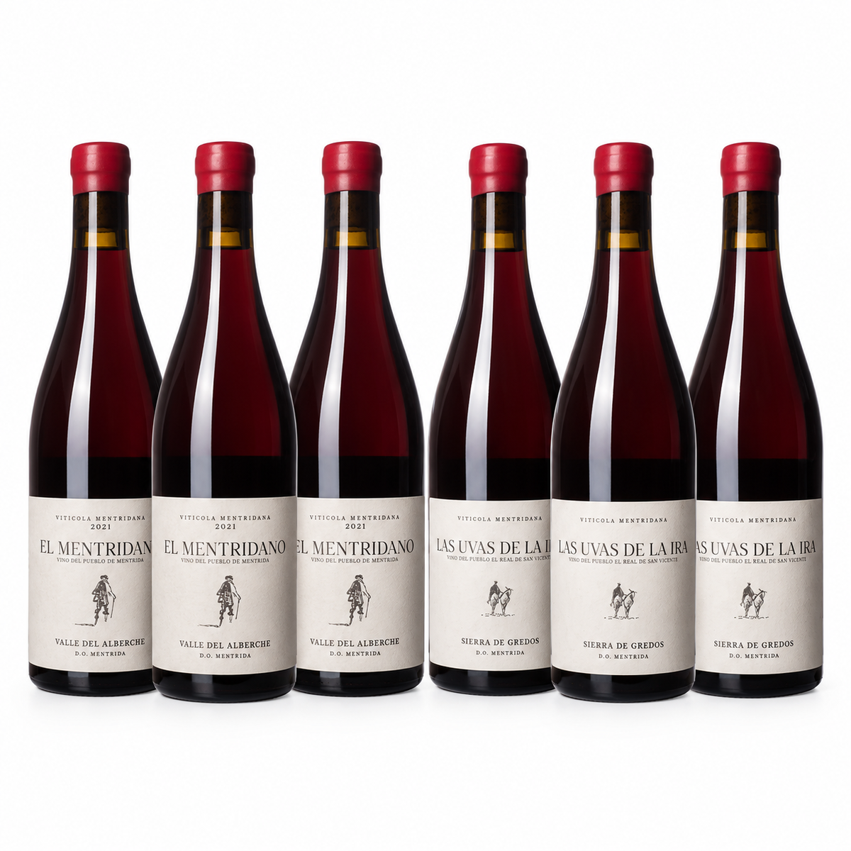 Vitícola Mentridana | Garnacha Mixed 6-Pack